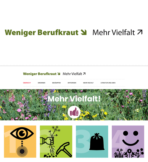 Referenzprojekt Kampagne Berufkraut